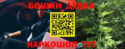 ПСИЛОЦИБИНОВЫЕ ГРИБЫ Новозыбков