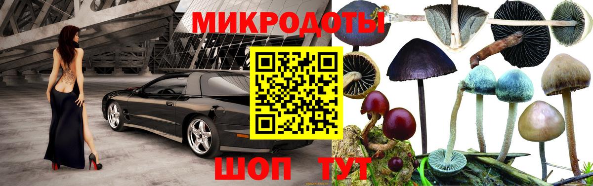 Галлюциногенные грибы MAGIC MUSHROOMS  Вход с VPN  Рыбинск 